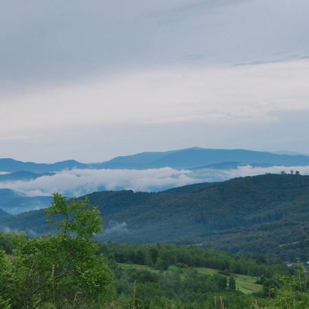 Соколів Камінь Novoselitsa  Buitenkant foto
