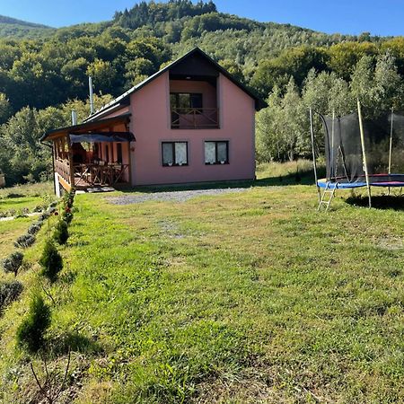 Соколів Камінь Novoselitsa  Buitenkant foto