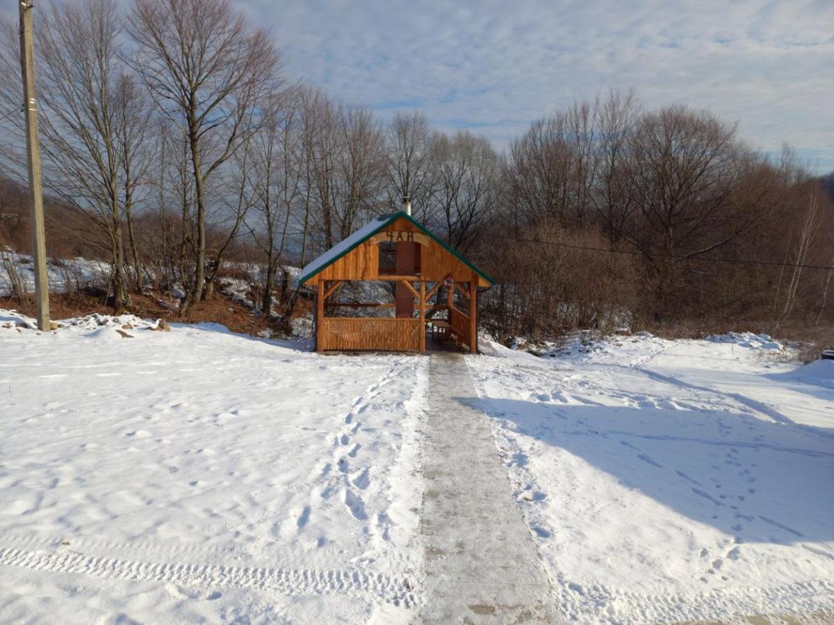 Соколів Камінь Novoselitsa  Buitenkant foto