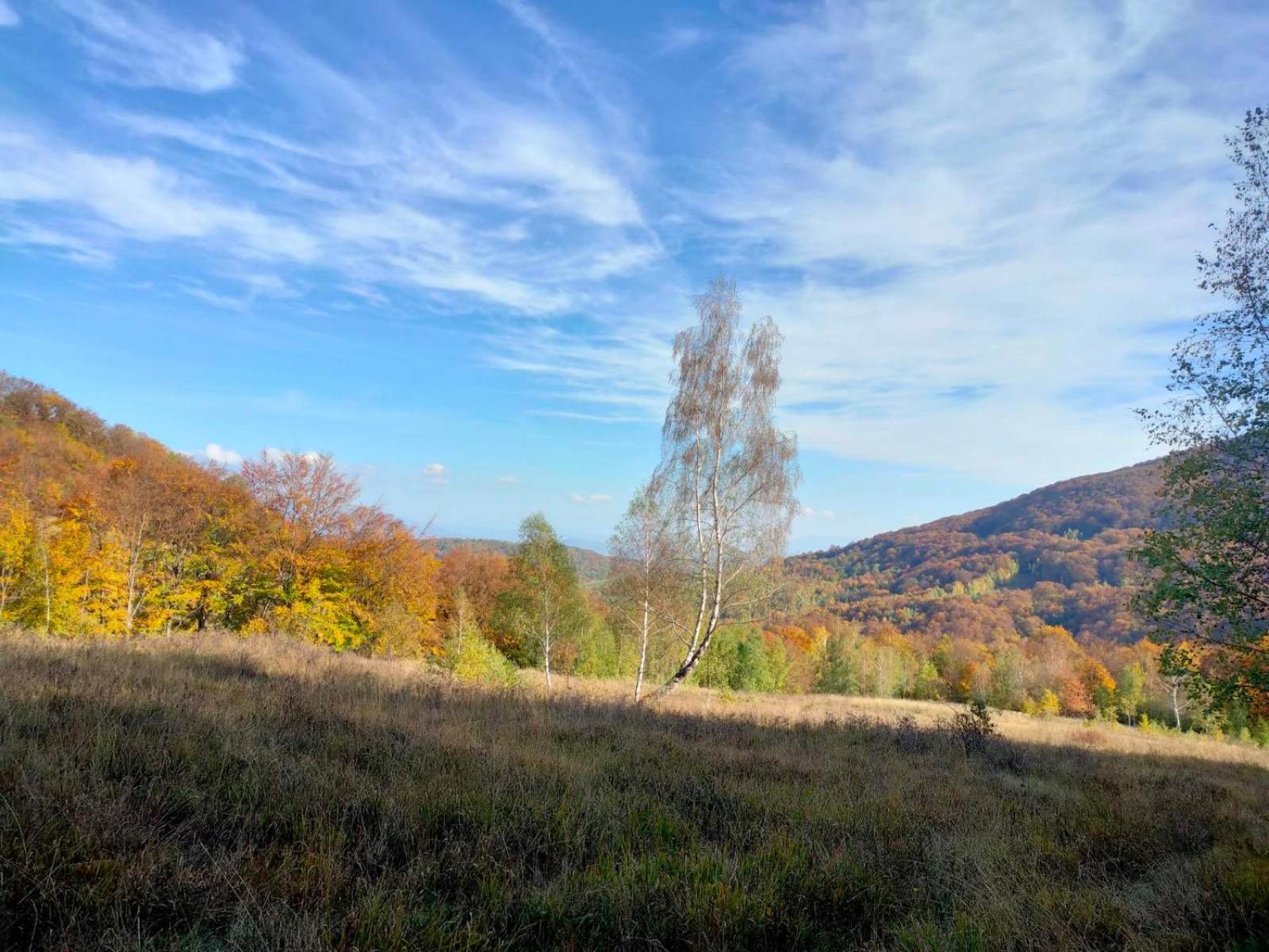 Соколів Камінь Novoselitsa  Buitenkant foto
