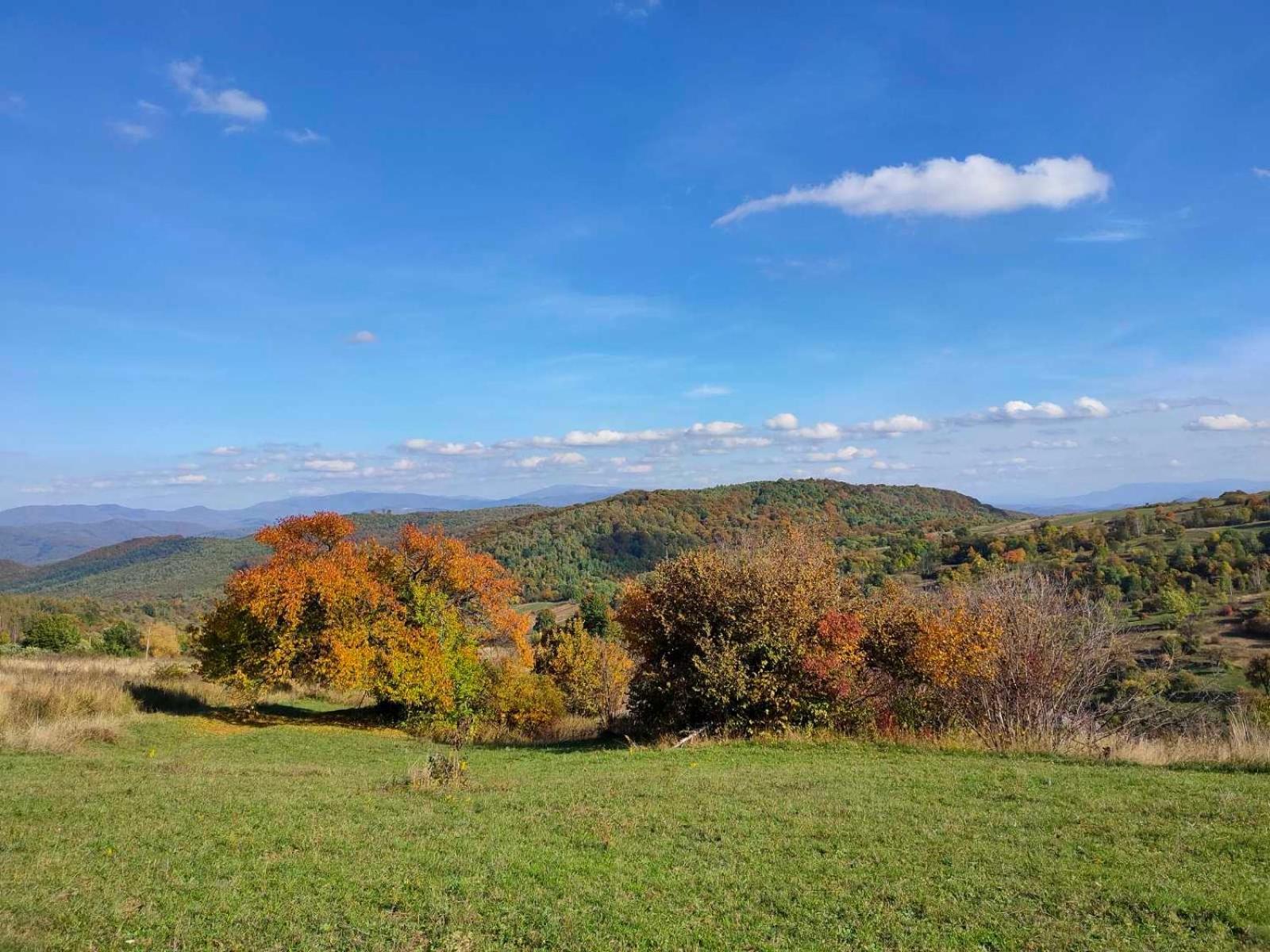 Соколів Камінь Novoselitsa  Buitenkant foto