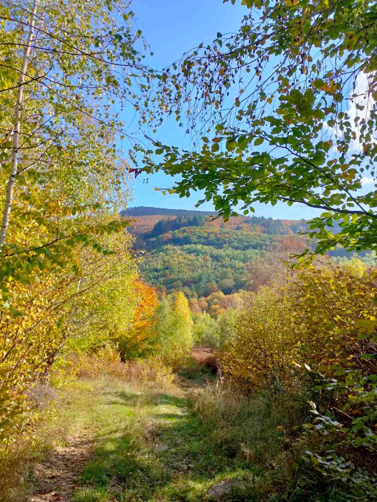 Соколів Камінь Novoselitsa  Buitenkant foto