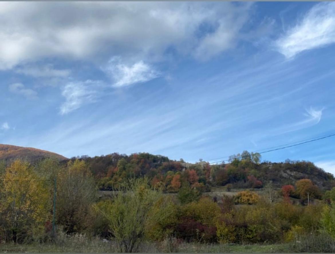 Соколів Камінь Novoselitsa  Buitenkant foto