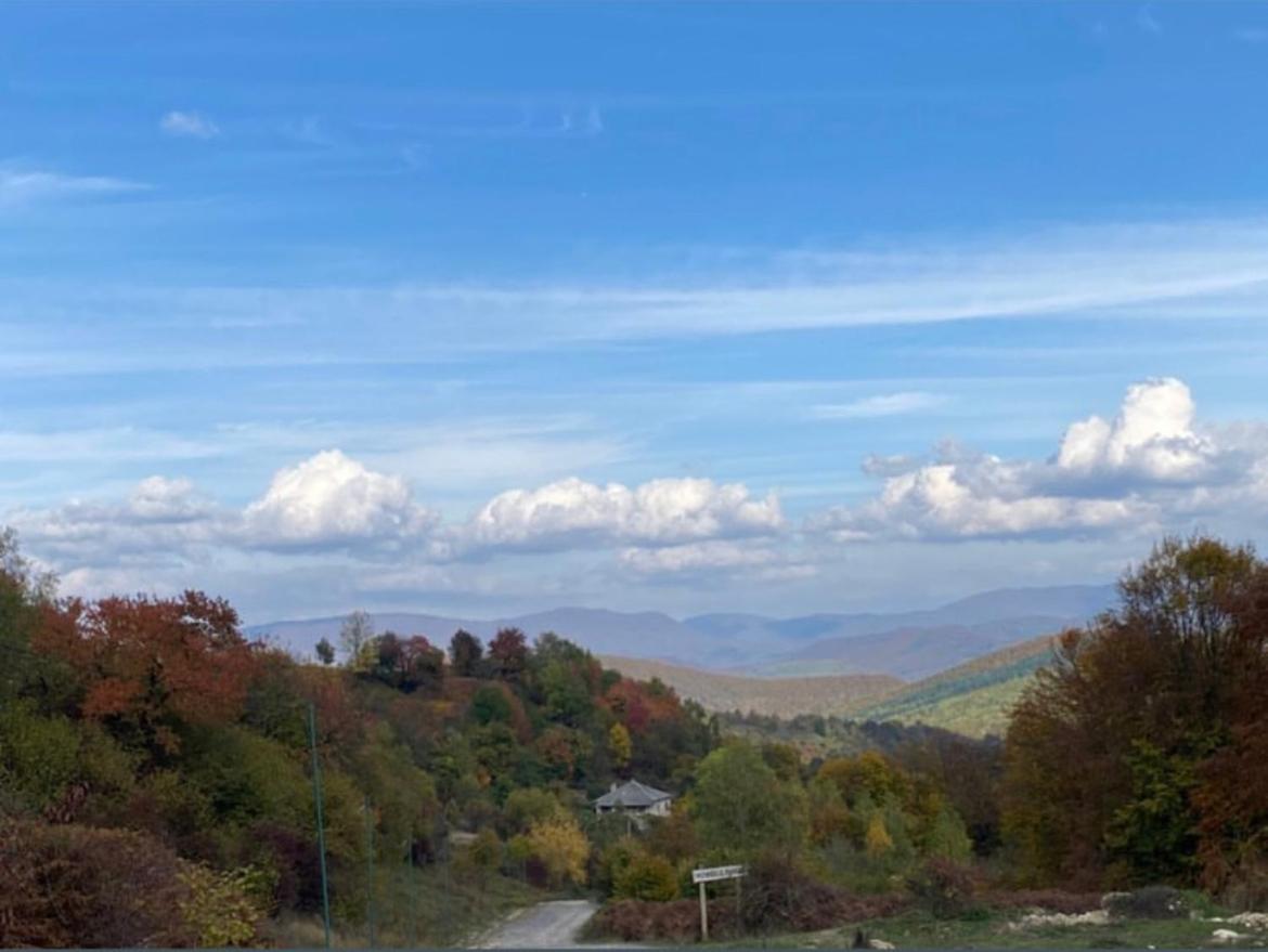 Соколів Камінь Novoselitsa  Buitenkant foto