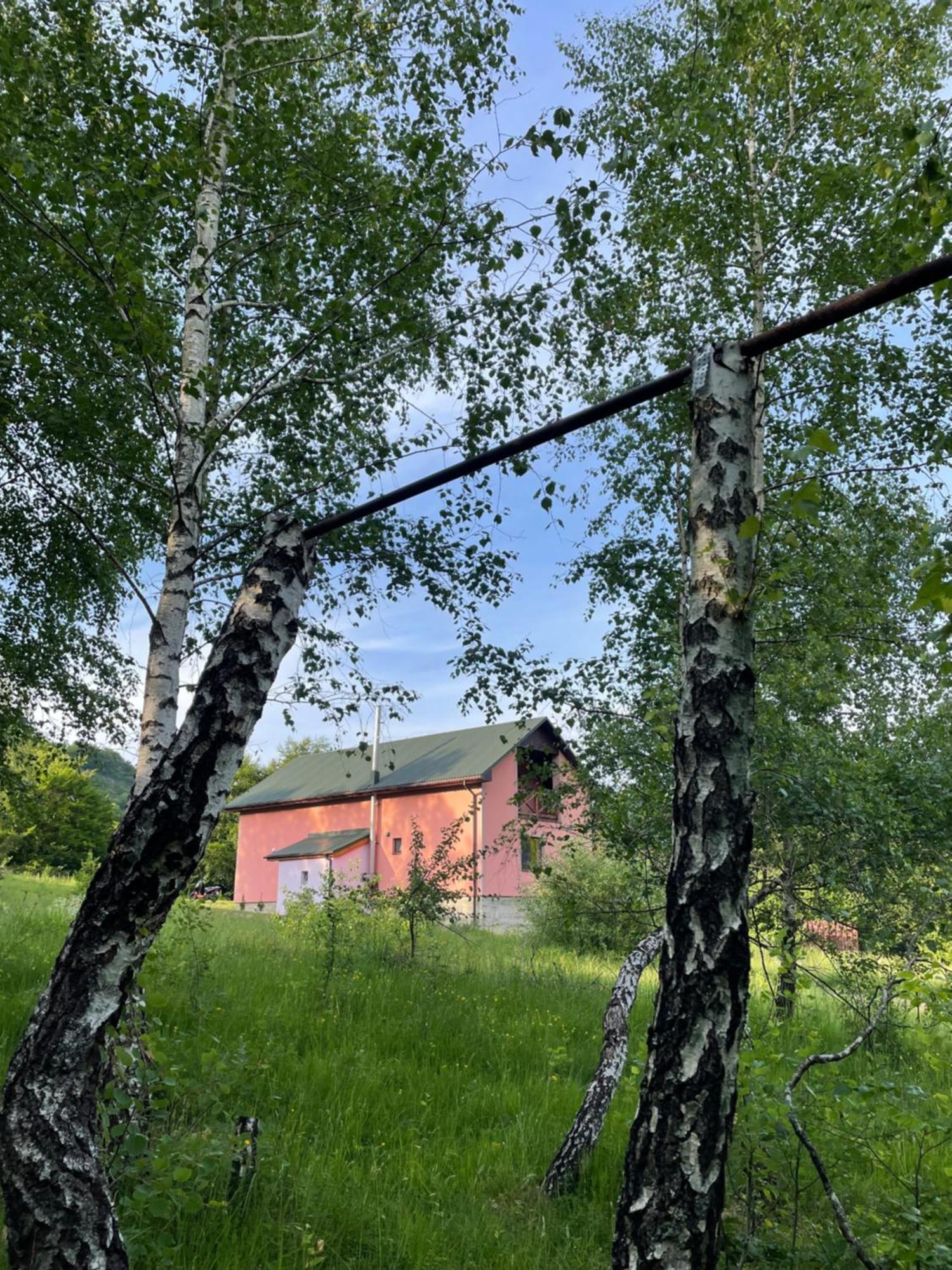 Соколів Камінь Novoselitsa  Buitenkant foto